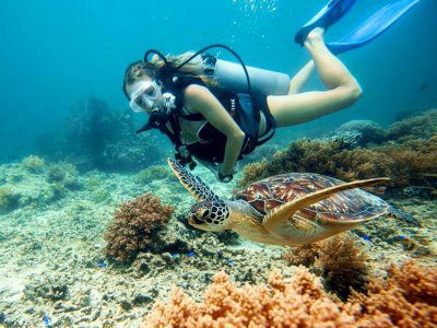 diver exploring the stunning coral reef and sea turtle in GIli Islands