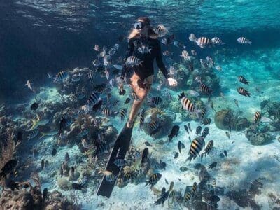 Snorkeling during a thrilling Nusa Penida Tours.