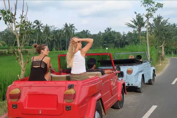 Enjoy Bali VW Safari tour by Alam Tirta