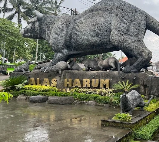 Alas Harum e1737683286218