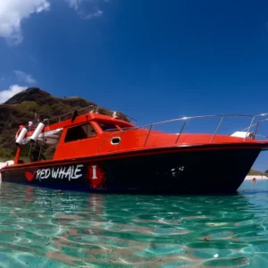 Komodo National Park speedboat tour price Padar Island view