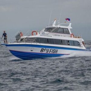 Nusa Penida day trip package price Kelingking Cliff view