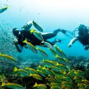 Tulamben Liberty Wreck dive and stay deals resort beachfront