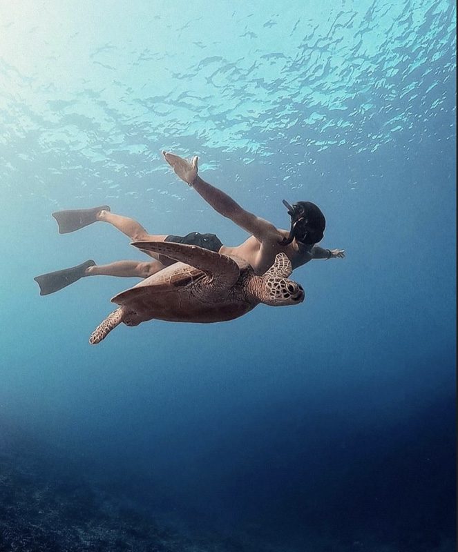 Bali all-inclusive dive package booking Tulamben Manta Point Bali all-inclusive dive package booking Tulamben Manta Point