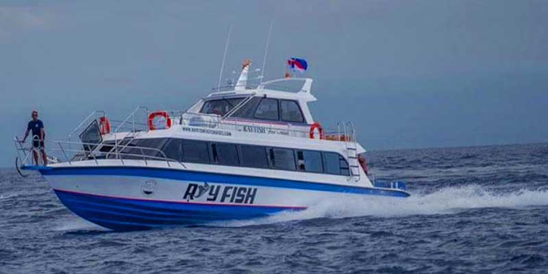 image4-rayfish-fast-cruises-e54063a7bb