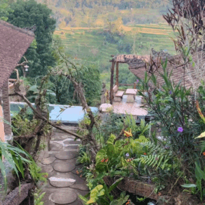 Bali highland nature resort deals Pondok Nyoman Bedugul view