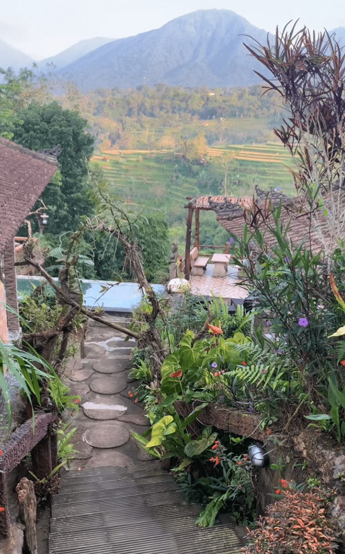Bali highland nature resort deals Pondok Nyoman Bedugul view