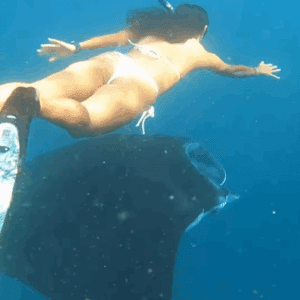 Nusa Penida snorkeling tour package booking Kelingking Beach view