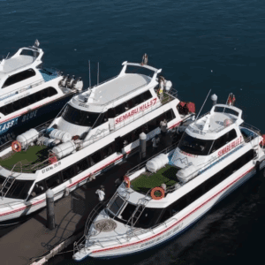 Nusa Penida tour package with fastboat booking Kelingking Beach view