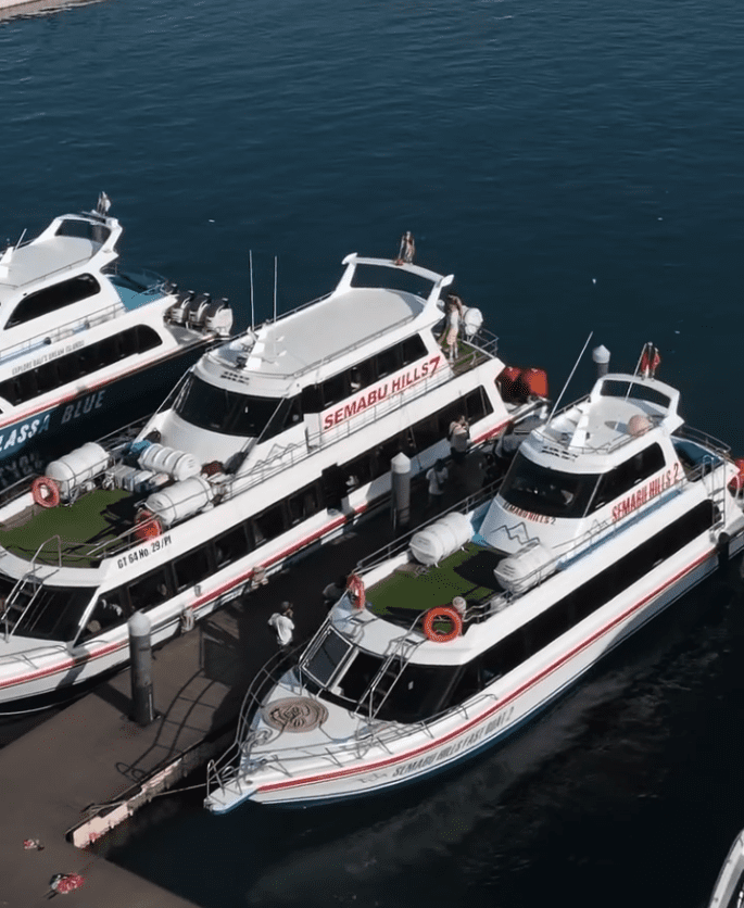 Nusa Penida tour package with fastboat booking Kelingking Beach view