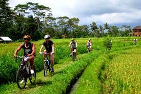 Authentic Bali cultural adventure booking cycling through rice terraces