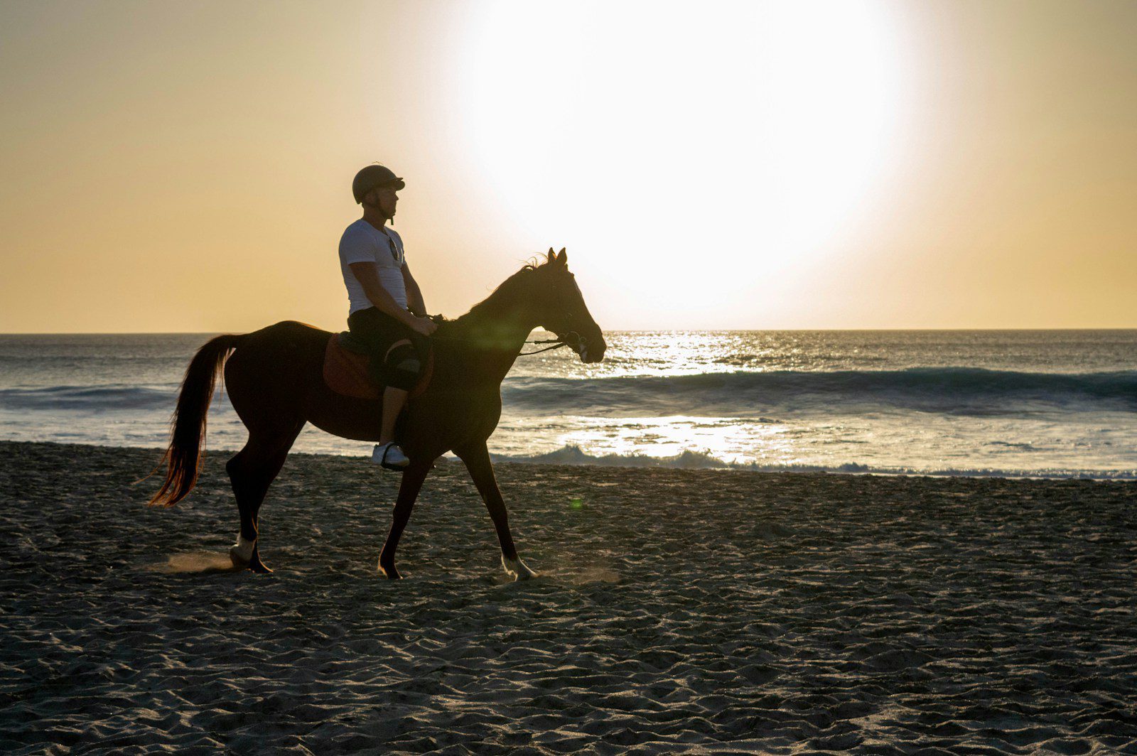 a person riding a horse on a beach