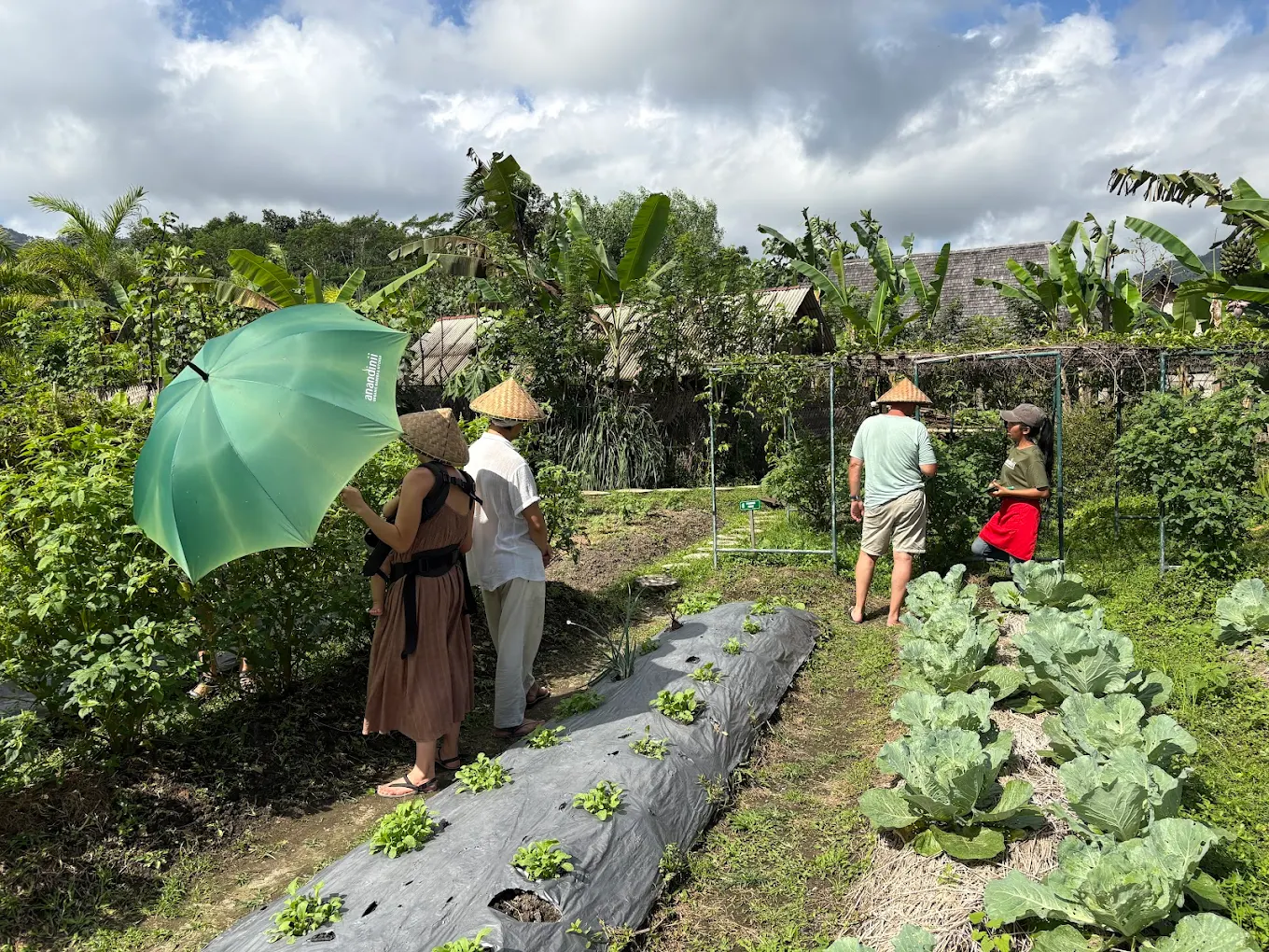 Sidemen yoga and trekking retreat deals Anandinii rice field view