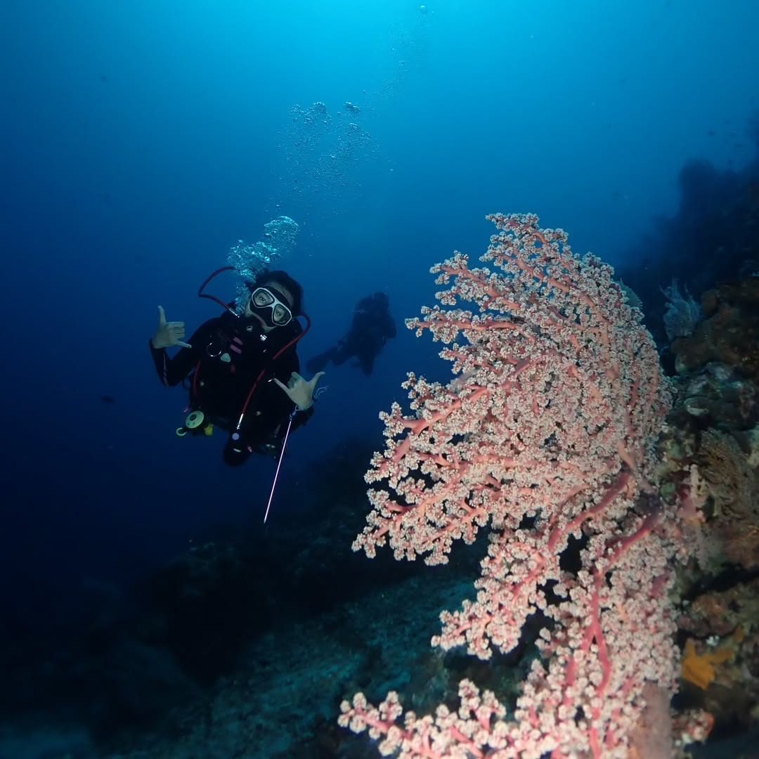 imgi_141_379415027_1922181021515364_5397444997309767475_n