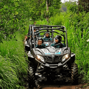 Bali Buggy Explorer Tour price 1 hour Payangan off road