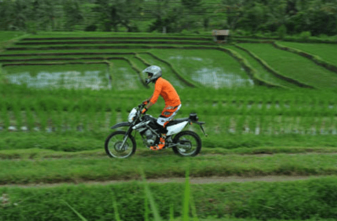 Canggu ATV ride on beach price black sand beach