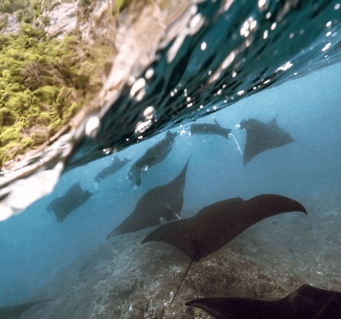 Karang Putih fast boat charter price Nusa Penida view