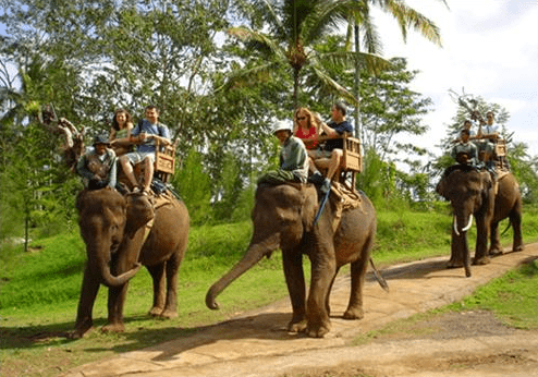 Taro Village ATV and Tubing package price off-road combo