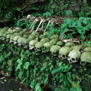 Trunyan Village tour price and booking Bali Aga cemetery