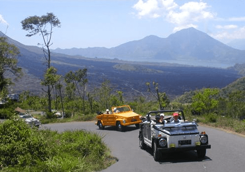VW Safari Tour Bali package price classic car transport