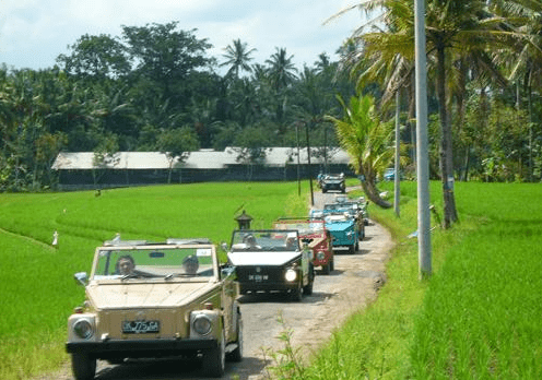 VW Safari Tour Bali package price classic car transport