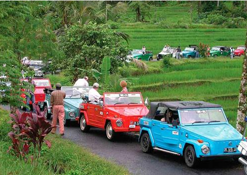 VW Safari Tour Bali package price classic car transport
