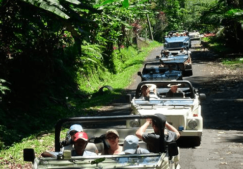 VW Safari Tour Bali package price classic car transport 7 VW Safari Tour Bali package price classic car transport