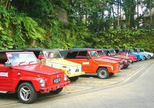 VW Safari Tour Bali package price classic car transport
