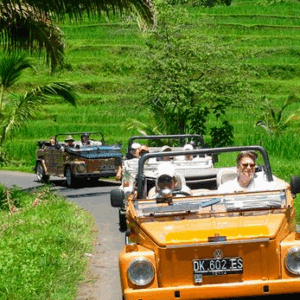 VW Safari Tour Bali package price classic car transport