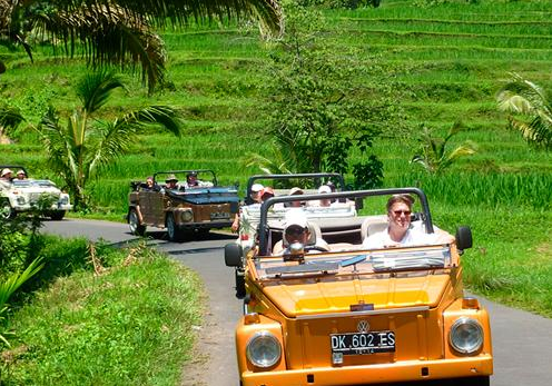 VW Safari Tour Bali package price classic car transport