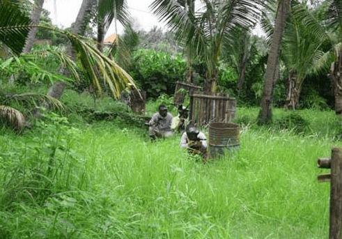 Wake Bali Paint Ball package price Keramas Village