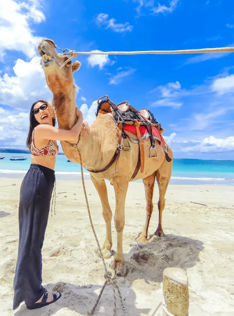Nusa Dua camel ride with seafood dinner booking