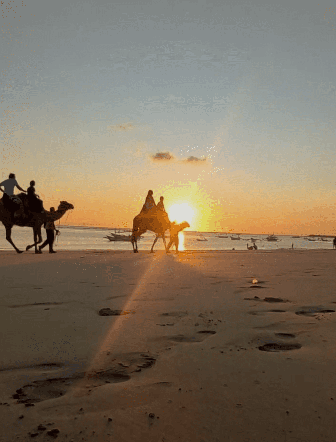 Nusa Dua camel ride with seafood dinner booking