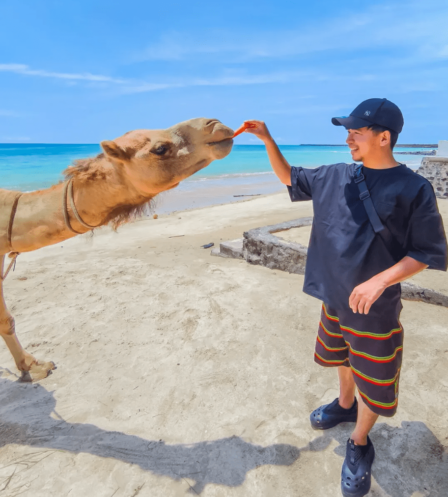 Nusa Dua camel ride with seafood dinner booking