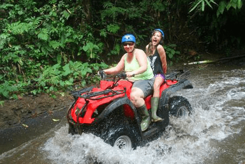 Taro Village ATV adventure booking rice field view
