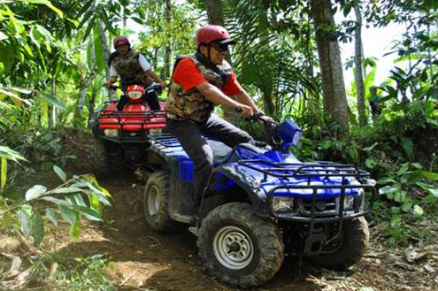 Taro Village ATV adventure booking rice field view