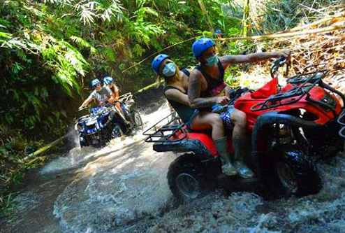 Taro Village ATV adventure booking rice field view