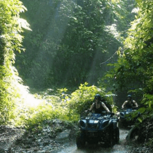 Taro Village ATV adventure booking rice field view