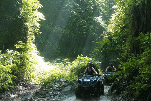 Taro Village ATV adventure booking rice field view