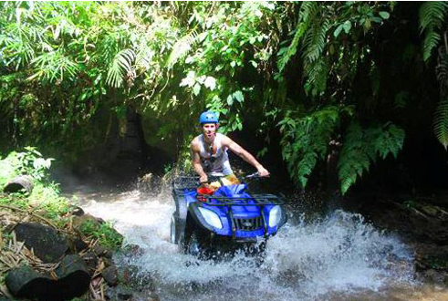 Taro Village ATV adventure booking rice field view