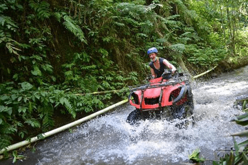 Taro Village ATV adventure booking rice field view