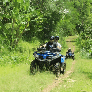 Ubud Quad Bike tour 1 hour price scenic rice fields